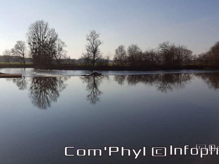 Pdj : 6 novembre 2021 - Corzé