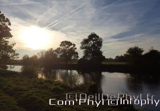 Pdj : 6 novembre 2021 - Corzé