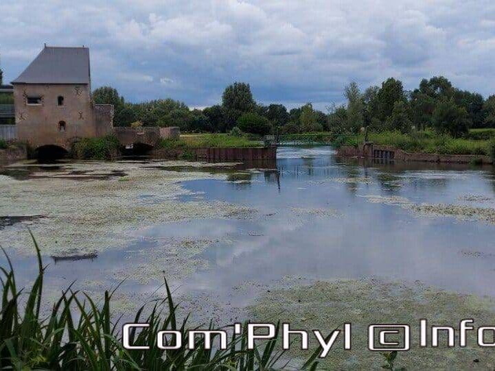 le-moulin-villeveque