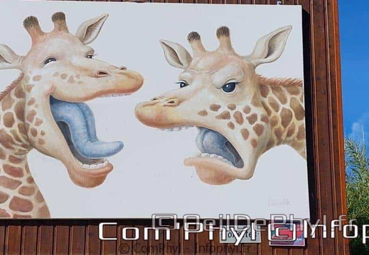 nov-art-2022-grand-format-7