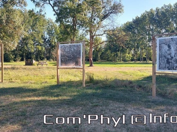 nov-art-2022-laurent-vergne-5