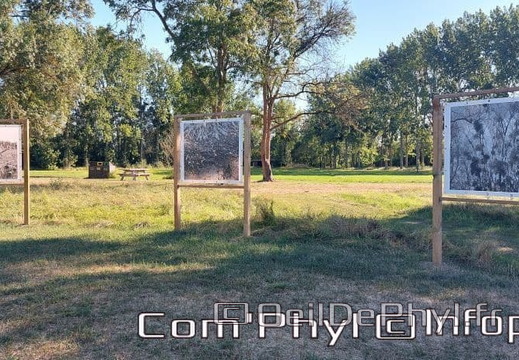 nov-art-2022-laurent-vergne-5