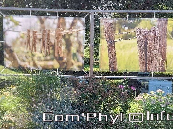 expo-photos-grez-neuville-2021-20