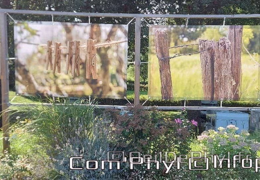 expo-photos-grez-neuville-2021-20