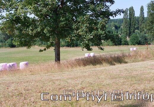 nov-art-2022-botropop-1