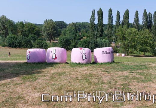 nov-art-2022-botropop-2