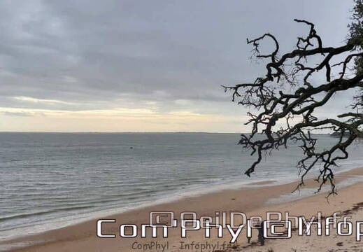 week-end-a-noirmoutier-en-l-ile-janvier-2023-06