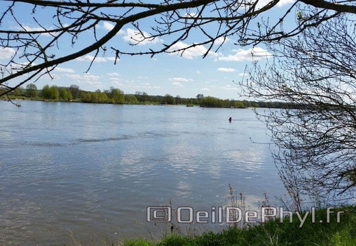 Bouchemaine La Pointe - Rando