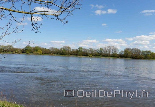 Bouchemaine La Pointe - Rando
