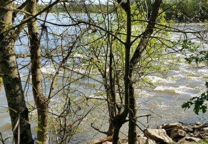 Bouchemaine La Pointe - Rando