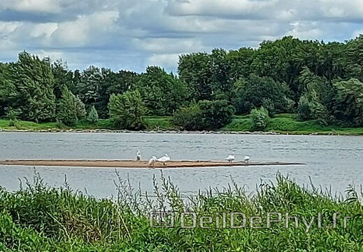 LaPointeBouchemaine-Rando-20210808 154006-Odp-10