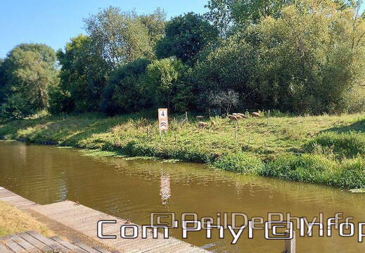 grez-neuville-la-mayenne-35