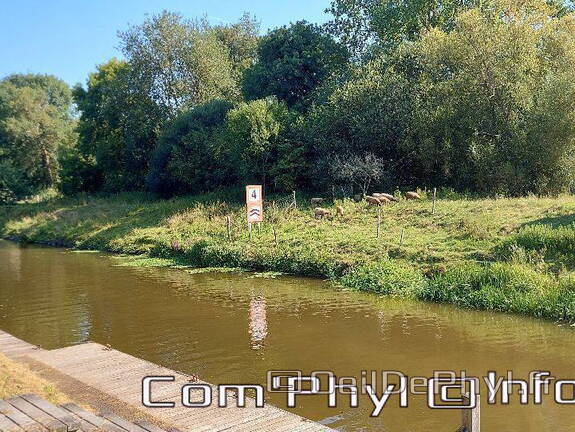 grez-neuville-la-mayenne-35