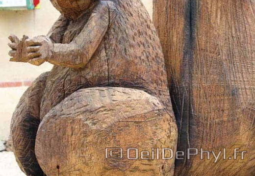 Écureuil - La Lande-Chasles