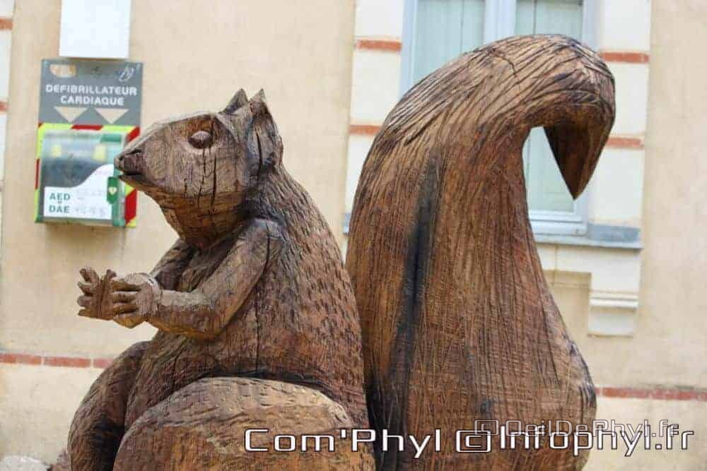Écureuil - La Lande-Chasles
