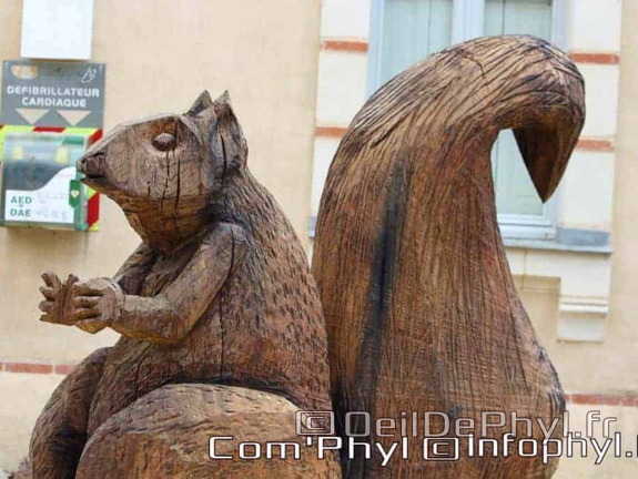 Écureuil - La Lande-Chasles