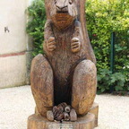 Écureuil - La Lande-Chasles