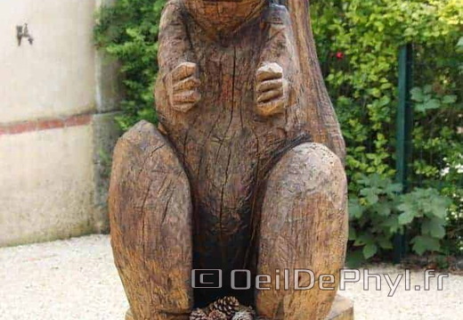 Écureuil - La Lande-Chasles