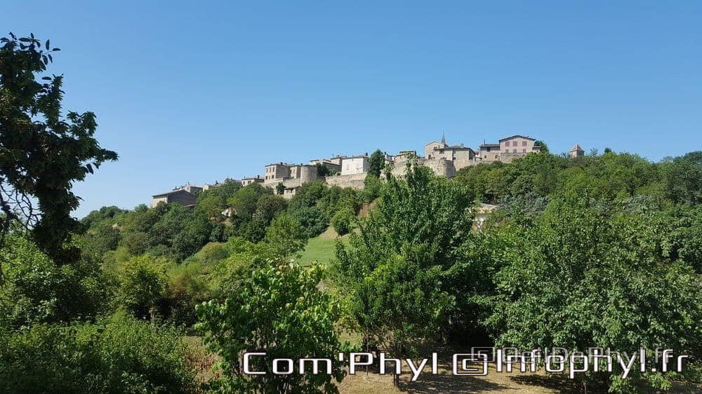 village-de-puycelsi-1