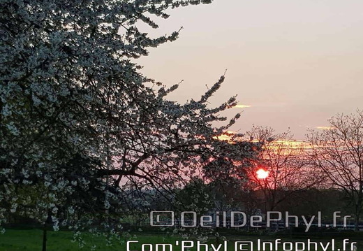 Pdj : 19 avril 2019 - Soleil rouge