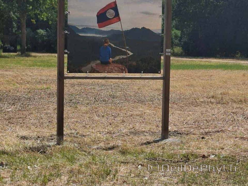 comphyl-novart2025-23