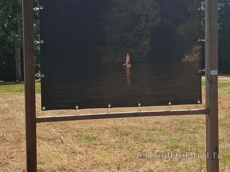 comphyl-novart2025-25