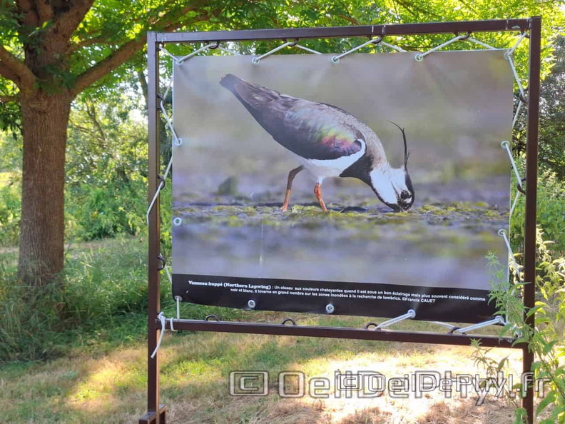 Novart2025-Francis-Cauet-14