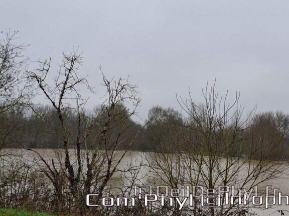 inondation-2025-rivesduloiranjou-comphyl49-09