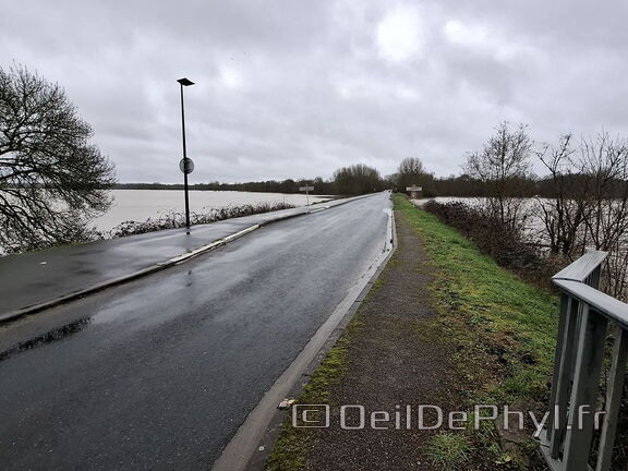 Le Loir - Rives du Loir en Anjou - Février 2026