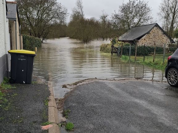 Le Loir - Rives du Loir en Anjou - Février 2026