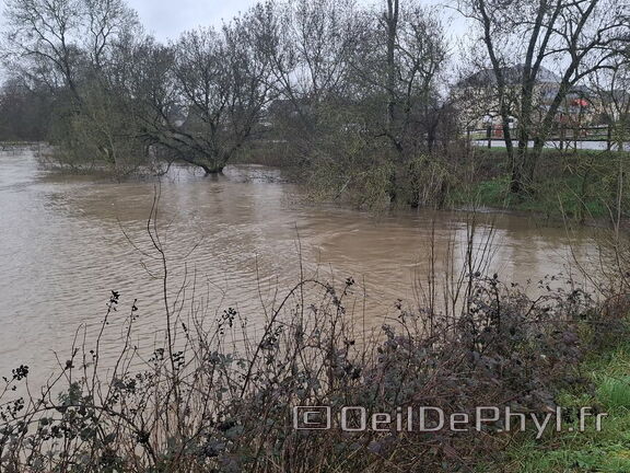Le Loir - Rives du Loir en Anjou - Février 2026