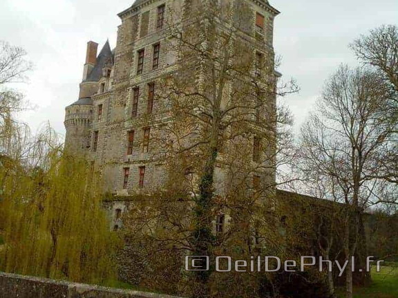 chateau-brissac-quince-1