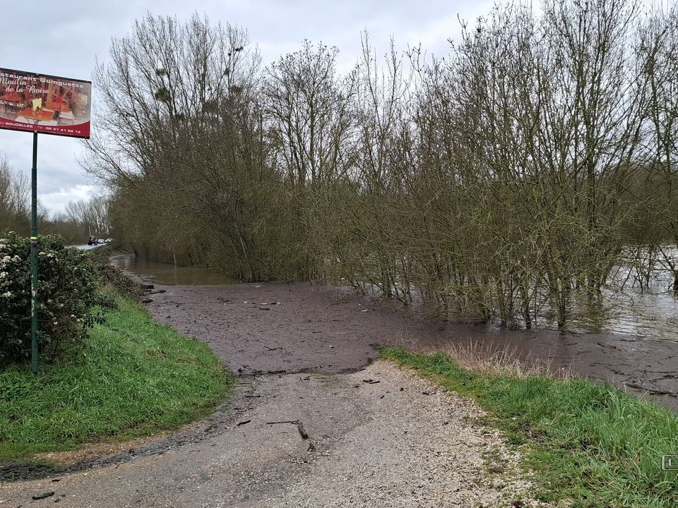 Le Loir - Rives du Loir en Anjou - Février 2026