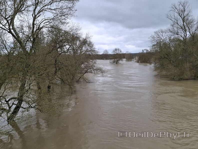 Le Loir - Rives du Loir en Anjou - Février 2026