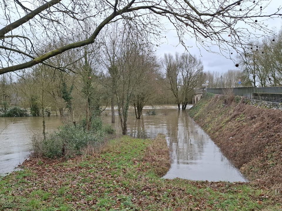 Le Loir - Rives du Loir en Anjou - Février 2026