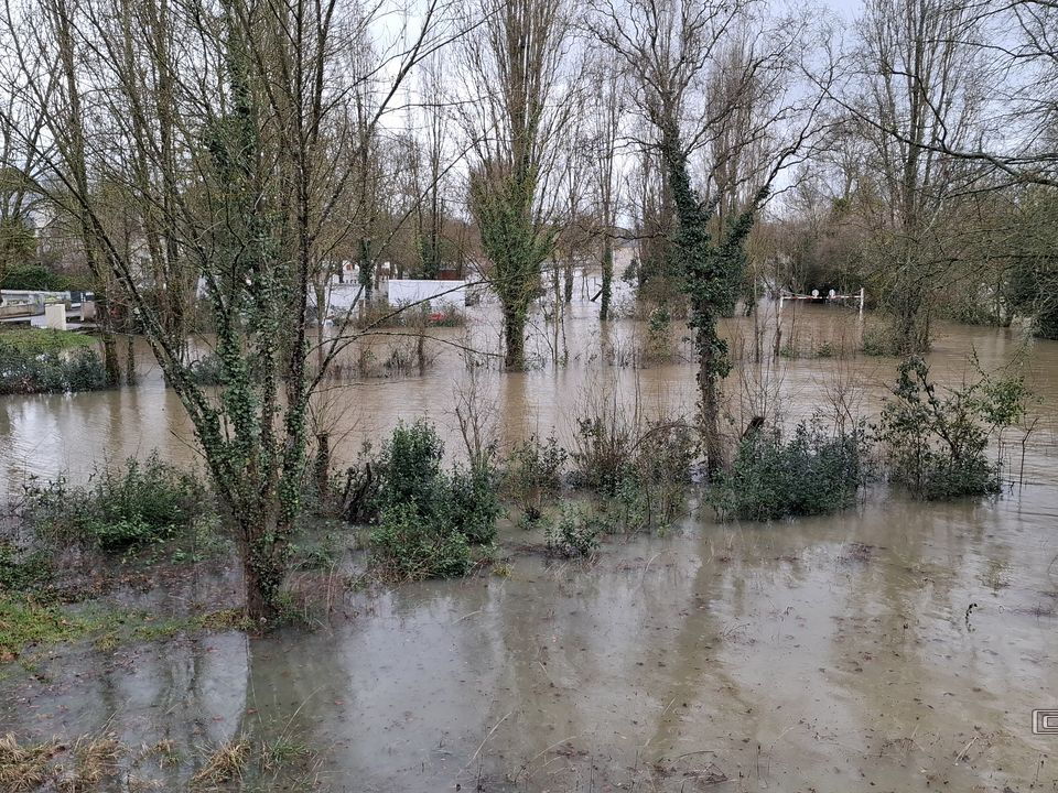 Le Loir - Rives du Loir en Anjou - Février 2026