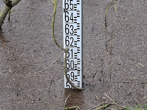 Le Loir - Rives du Loir en Anjou - Février 2026