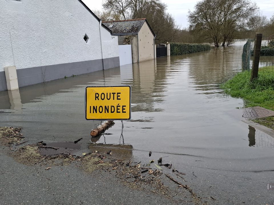 Le Loir - Rives du Loir en Anjou - Février 2026