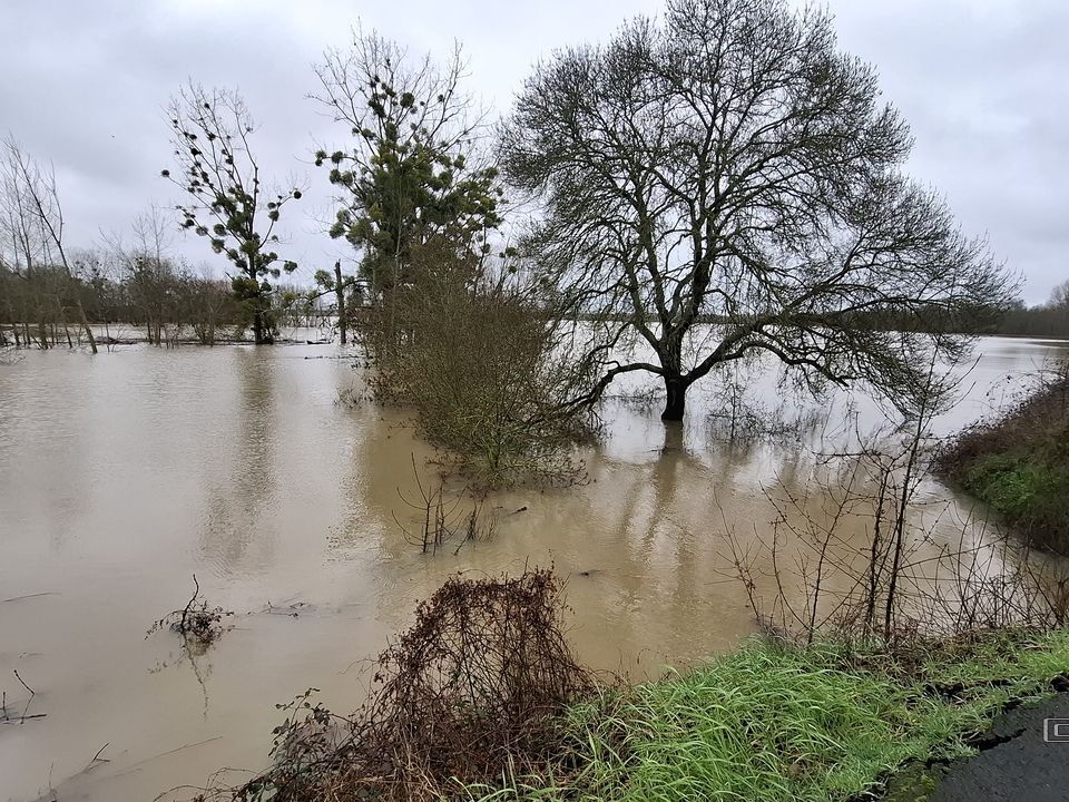 Le Loir - Rives du Loir en Anjou - Février 2026