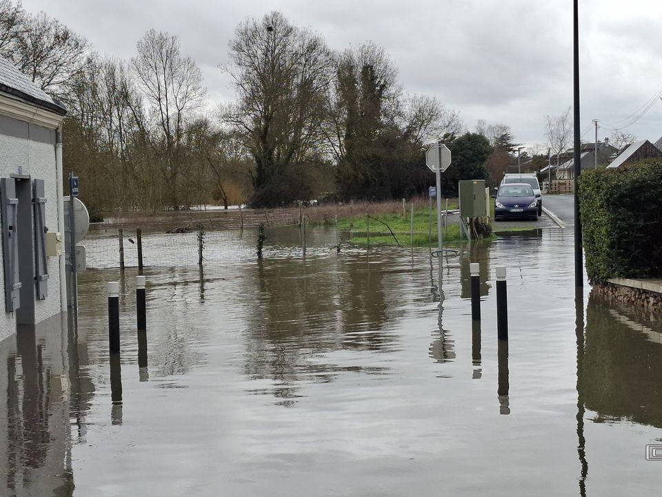 Le Loir - Rives du Loir en Anjou - Février 2026