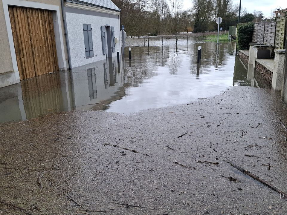Le Loir - Rives du Loir en Anjou - Février 2026