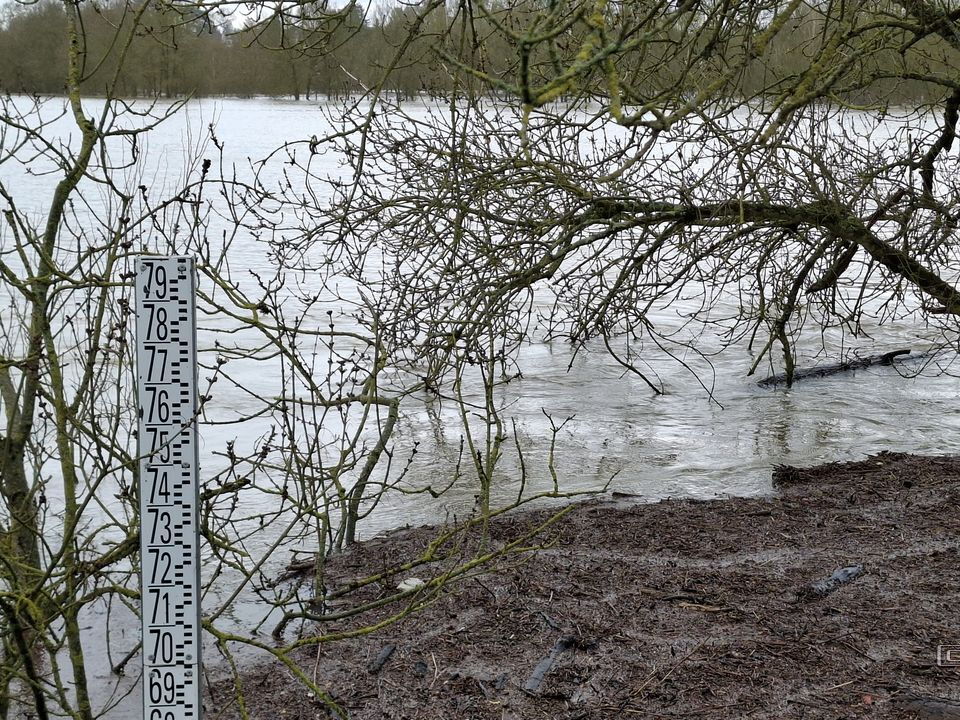 Le Loir - Rives du Loir en Anjou - Février 2026