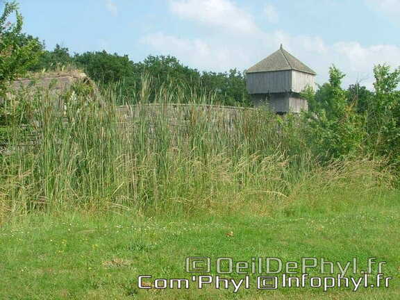 Château à motte - Saint Sylvain d'Anjou