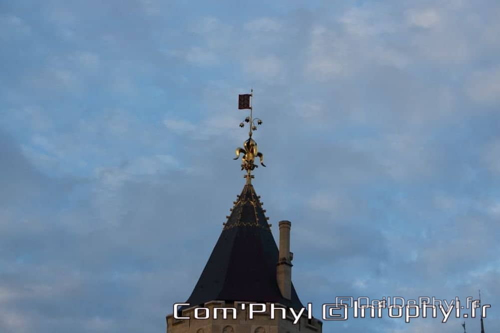 saumur-la-fleche-du-chateau-6