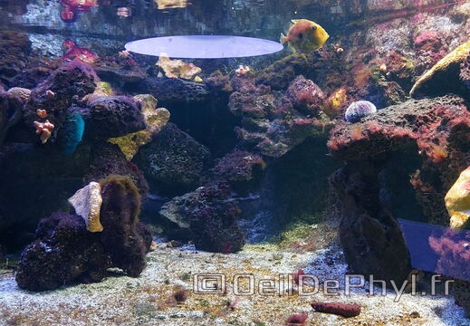 Aquarium du Croisic