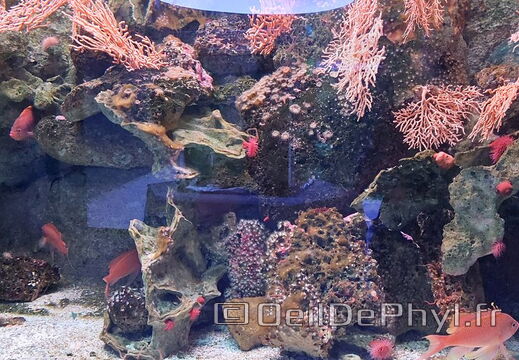 Aquarium du Croisic