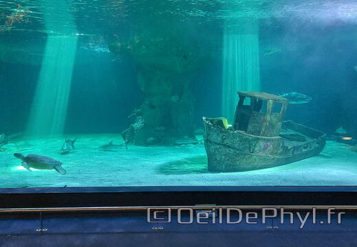 Aquarium du Croisic