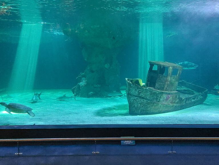 Aquarium du Croisic