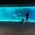 Aquarium du Croisic