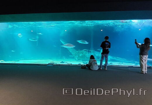 Aquarium du Croisic